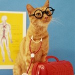Кошка — «домашний доктор»
