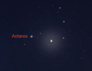 Звезда Антарес